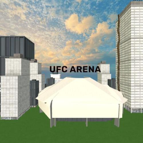 Arena Image