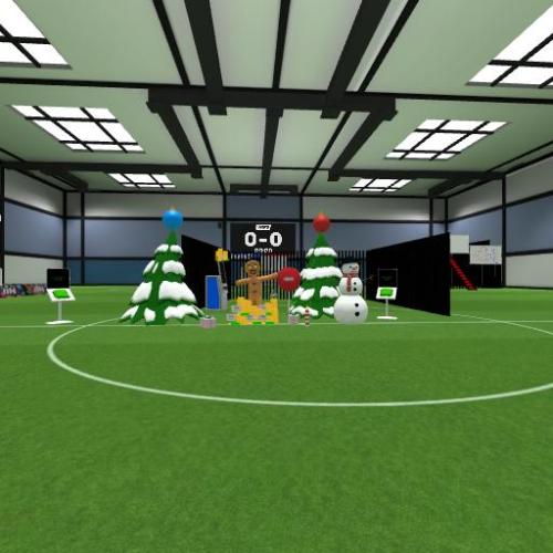 Arena Image