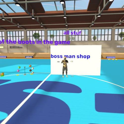 Arena Image