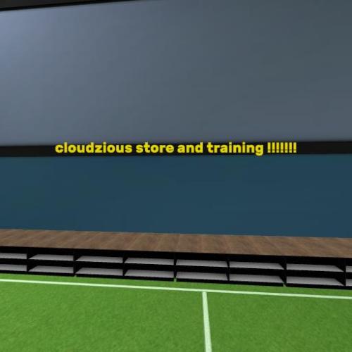 Arena Image