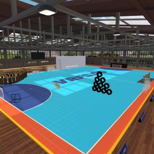 Arena Image