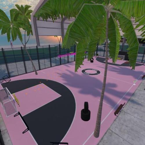 Arena Image