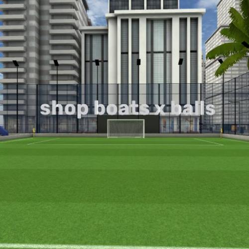 Arena Image
