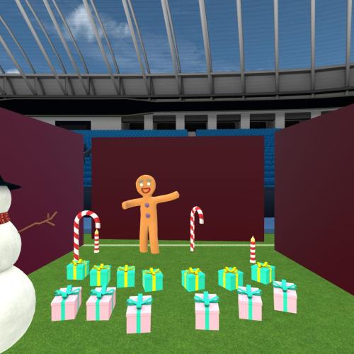 Arena Image