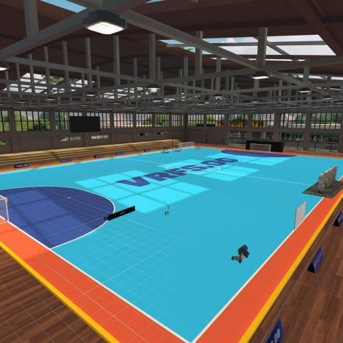 Arena Image