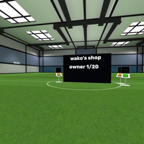 Arena Image