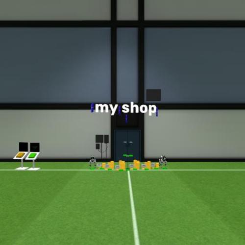 Arena Image