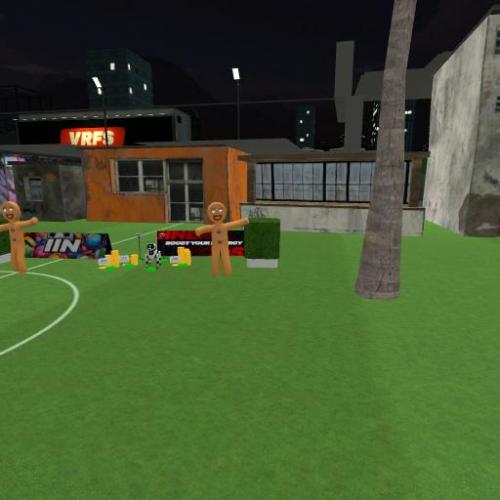 Arena Image