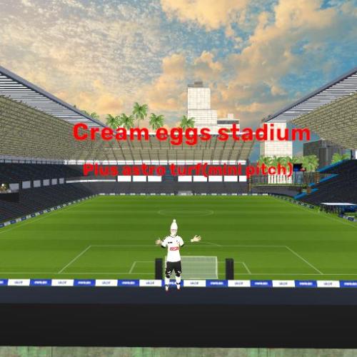 Arena Image