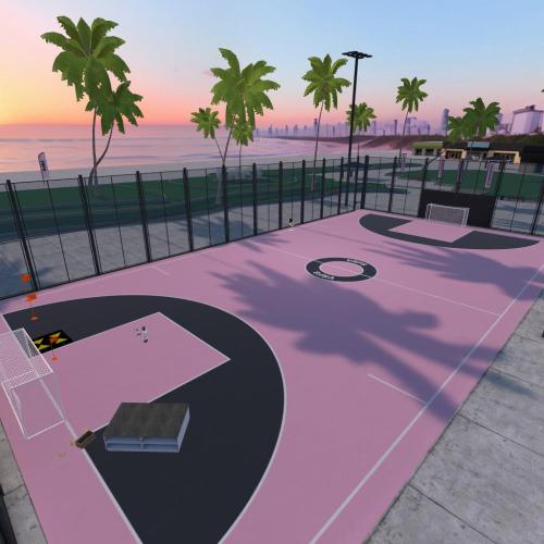 Arena Image