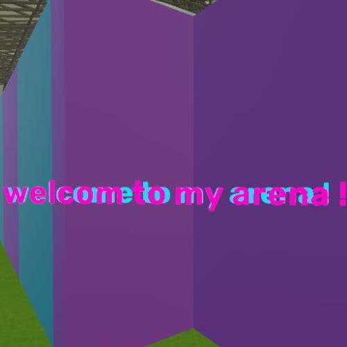 Arena Image