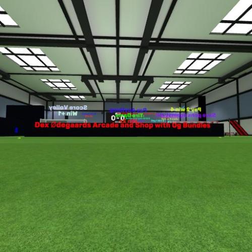 Arena Image