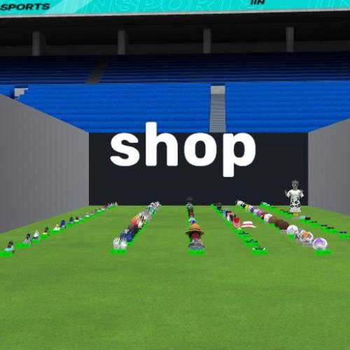 Arena Image