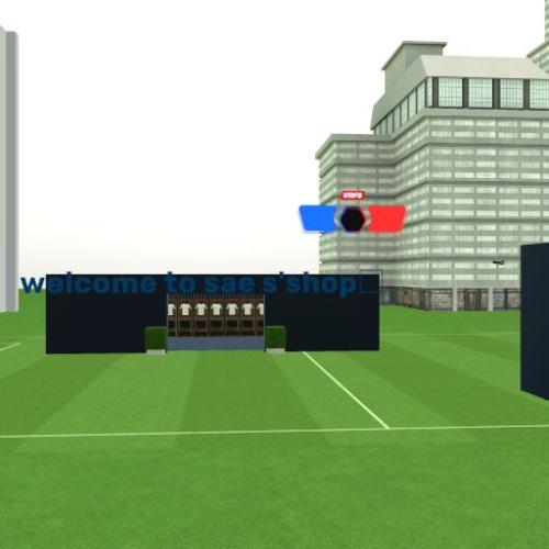 Arena Image