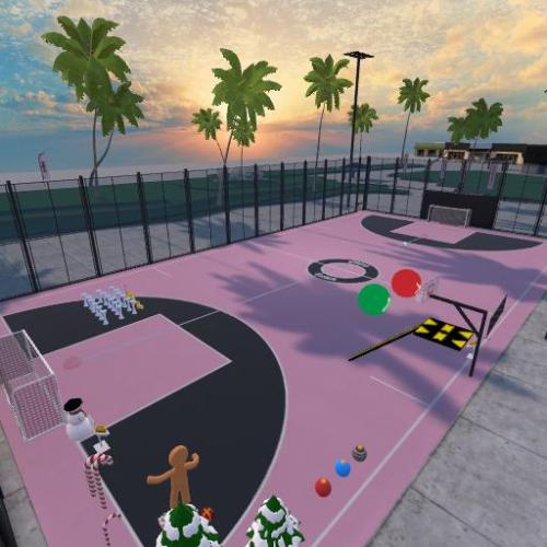 Arena Image