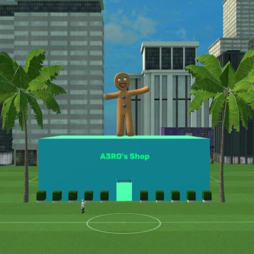 Arena Image