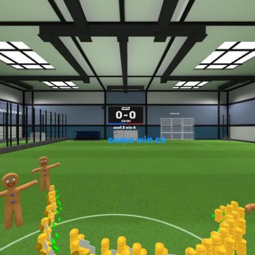 Arena Image