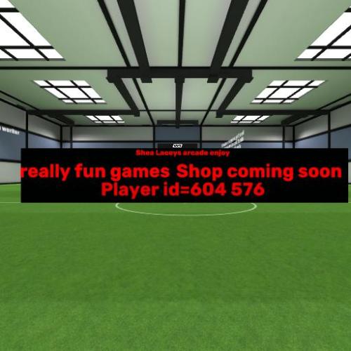 Arena Image