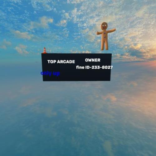 Arena Image