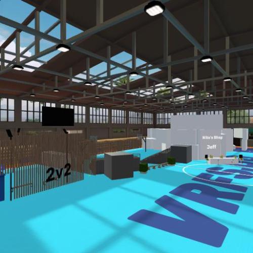 Arena Image