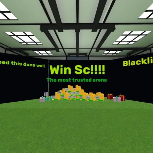 Arena Image