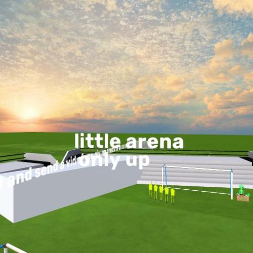 Arena Image