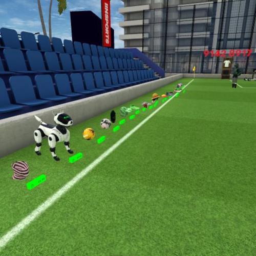 Arena Image