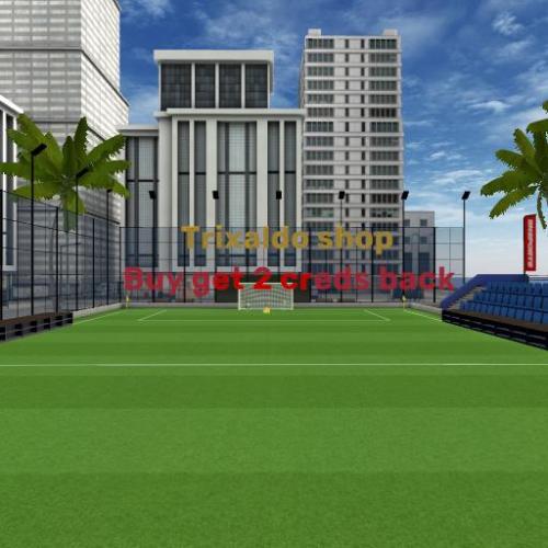 Arena Image