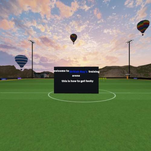 Arena Image