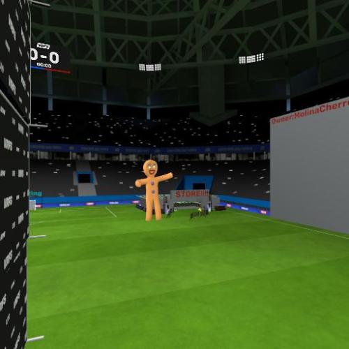Arena Image