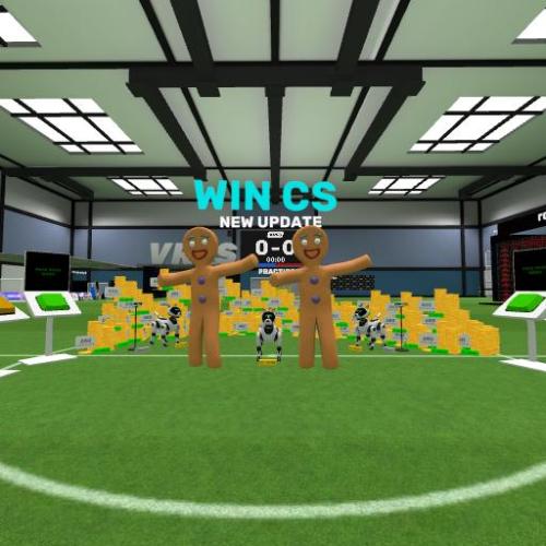 Arena Image