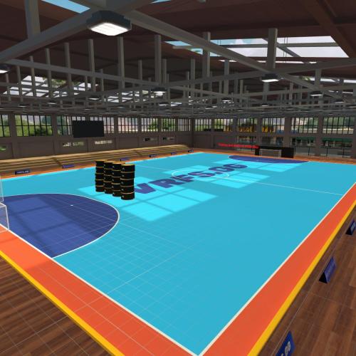 Arena Image