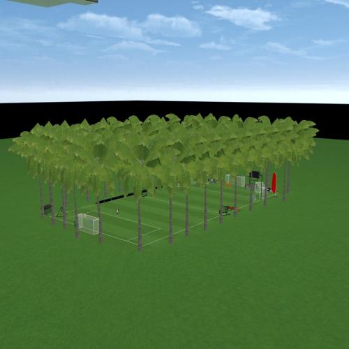 Arena Image
