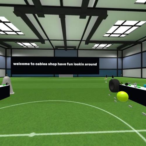 Arena Image
