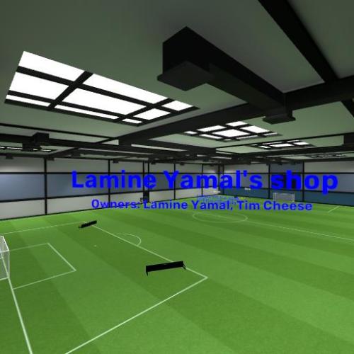 Arena Image