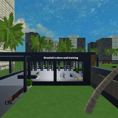 Arena Image