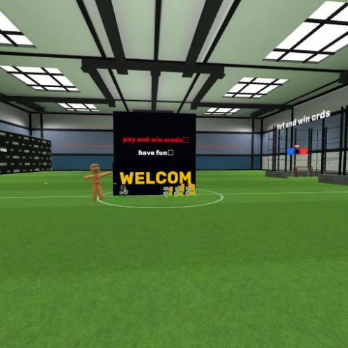 Arena Image
