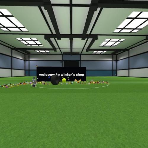 Arena Image