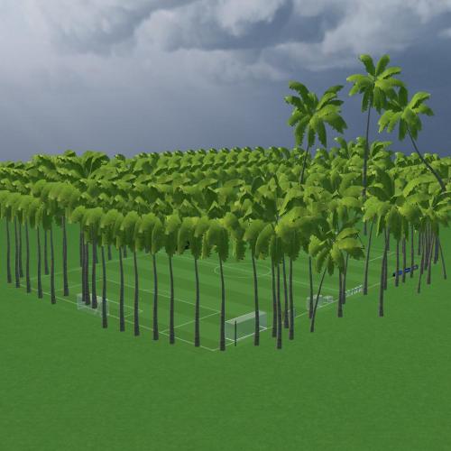 Arena Image