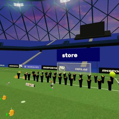 Arena Image