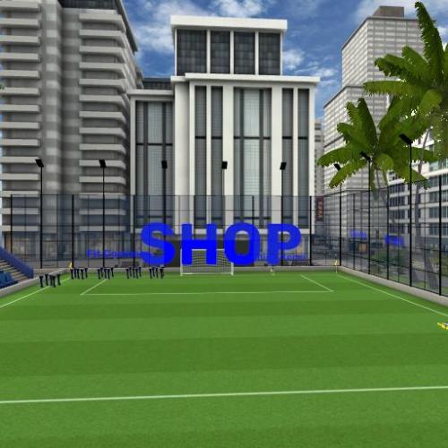 Arena Image
