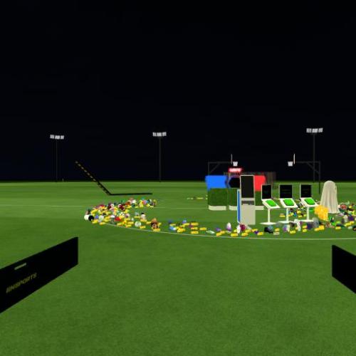 Arena Image