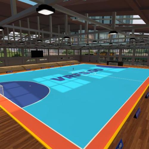 Arena Image