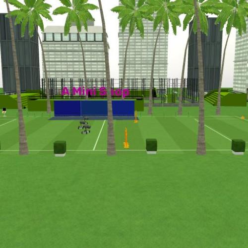 Arena Image
