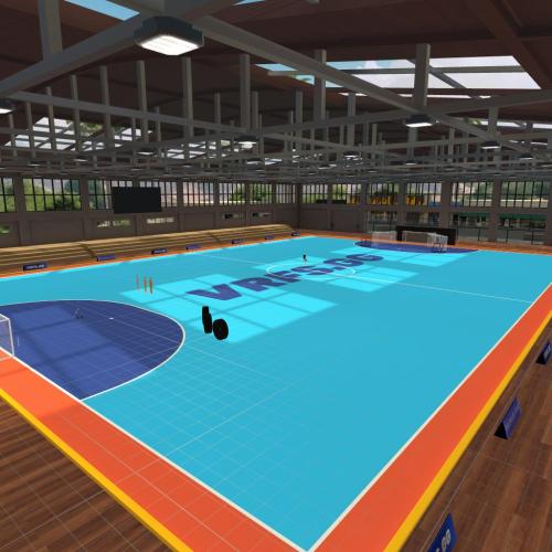 Arena Image
