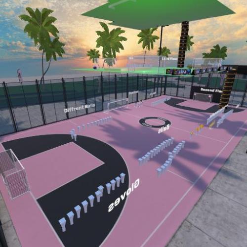 Arena Image