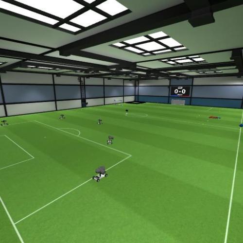 Arena Image