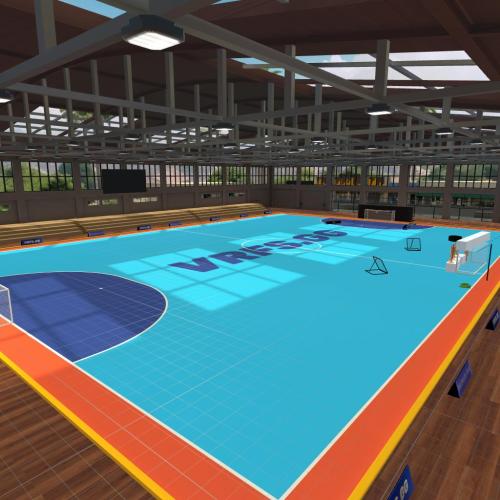 Arena Image