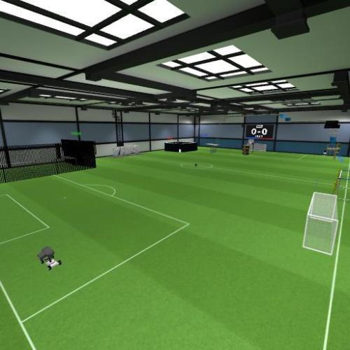 Arena Image
