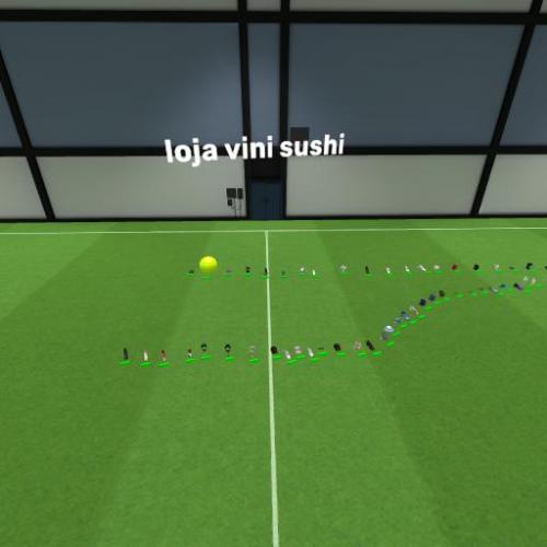 Arena Image